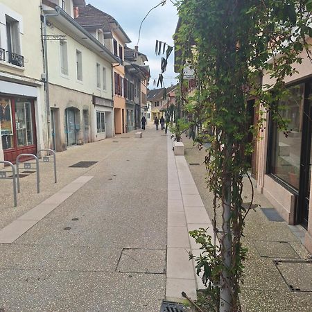 Appartamento Chez Eric - L'Atypique Rumilly  Esterno foto