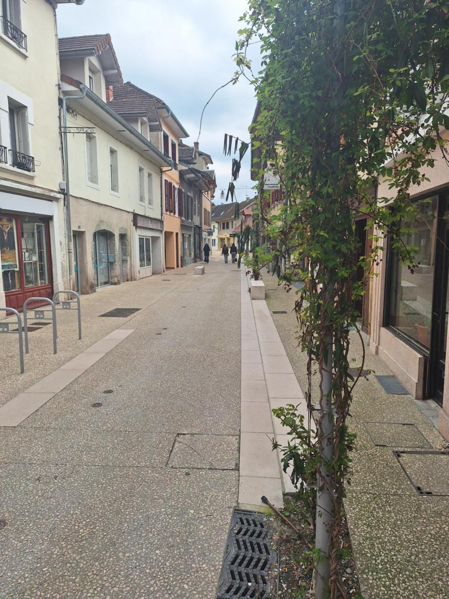 Appartamento Chez Eric - L'Atypique Rumilly  Esterno foto